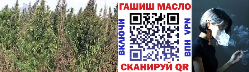дарк нет телеграм Высоцк Дистиллят ТГК гашишное масло